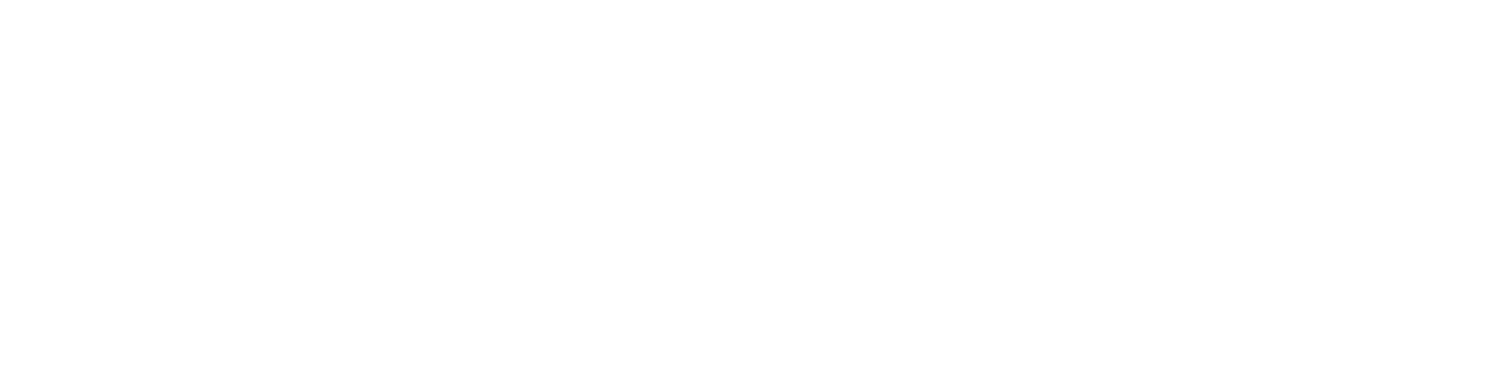 Telesentinel
